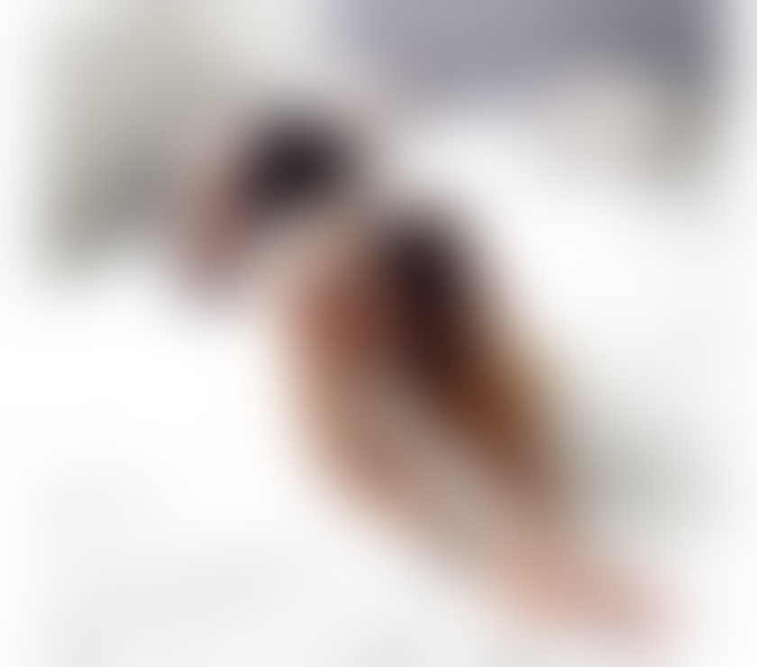 Trans Escorts West Midlands Birmingham - Photos for NATASHA TS NEW IN TOWN PARTY ONLY OUTCALLS